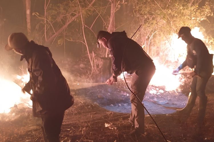Kemarau Panjang, 836 Hektare Hutan di Taman Nasional Baluran Terbakar