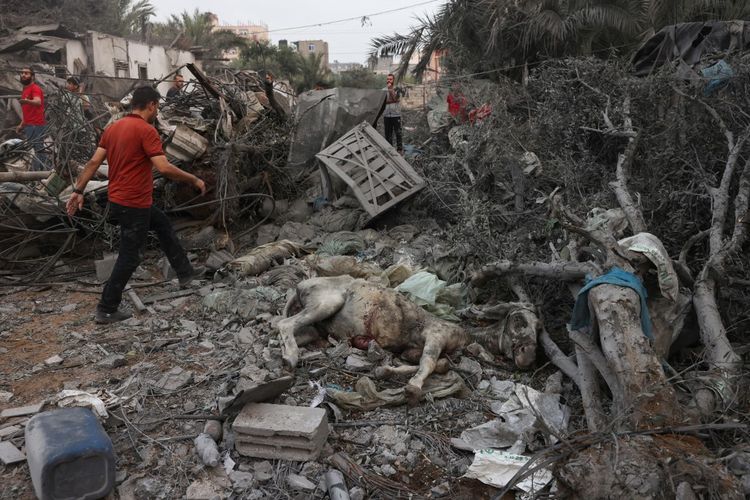 Warga Palestina berjalan melewati seekor keledai yang terluka ketika mereka mencari korban selamat di reruntuhan bangunan setelah serangan Israel di Rafah di Jalur Gaza selatan pada 23 Oktober 2023, di tengah pertempuran yang sedang berlangsung antara Israel dan kelompok Hamas Palestina. 