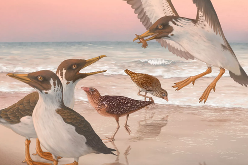 Seperti Apa Rupa Burung Pertama di Bumi? Studi Mengungkapnya
