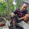 Dari Coba-Coba, Petani Lereng Gunung Wilis Sukses Ternak Cacing Tanah, Sekali Panen Raup Jutaan Rupiah