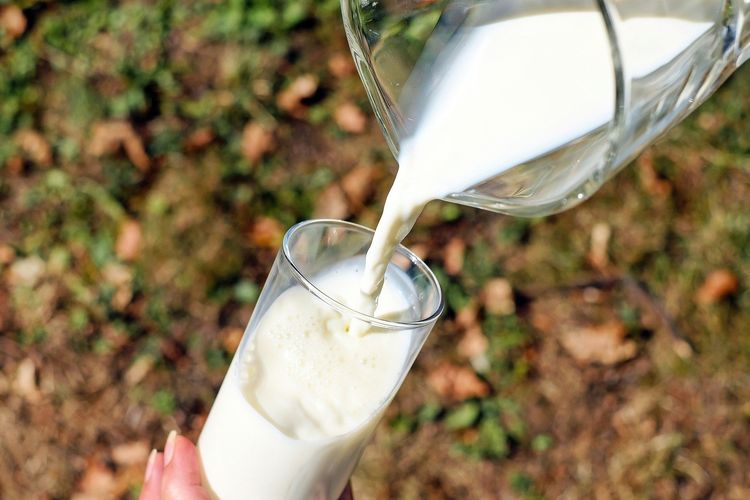 Protein dalam susu sapi bisa digunakan menurunkan berat badan asal dikonsumsi dengan cara yang tepat.