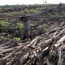 RUU Pangan Dinilai Belum Cukup Antisipasi Krisis Iklim