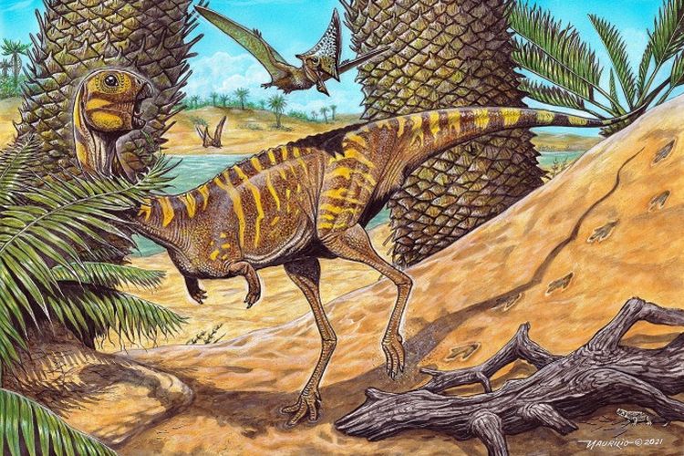 Ilustrasi dinosaurus ompong, Berthasaura leopoldinae, dinosaurus theropoda. Penemuan fosil dinosaurus ompong yang sangat langka di Brasil.