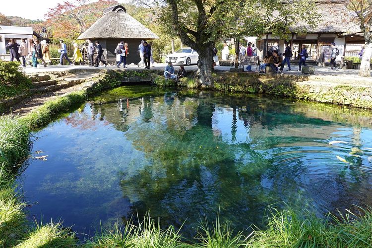 Kolam Wakuike di Oshino Hakkai di Prefektur Yamanashi, Jepang. Niatnya cari keberuntungan, tapi lempar koin ke kolam Oshino Hakkai di Jepang justru merusak air dan ekosistemnya. 