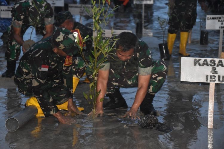 Kepala Staf Angkatan Darat (KSAD), Jenderal TNI Maruli Simanjuntak, memimpin langsung penanaman 1.000 pohon mangrove di kawasan Pantai Payum, Kelurahan Samkai, Distrik Merauke, Kamis )2/5/2024) sore. 