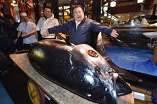 Cetak Rekor Baru dalam Lelang, Ikan Tuna di Jepang Terjual Rp 43 Miliar