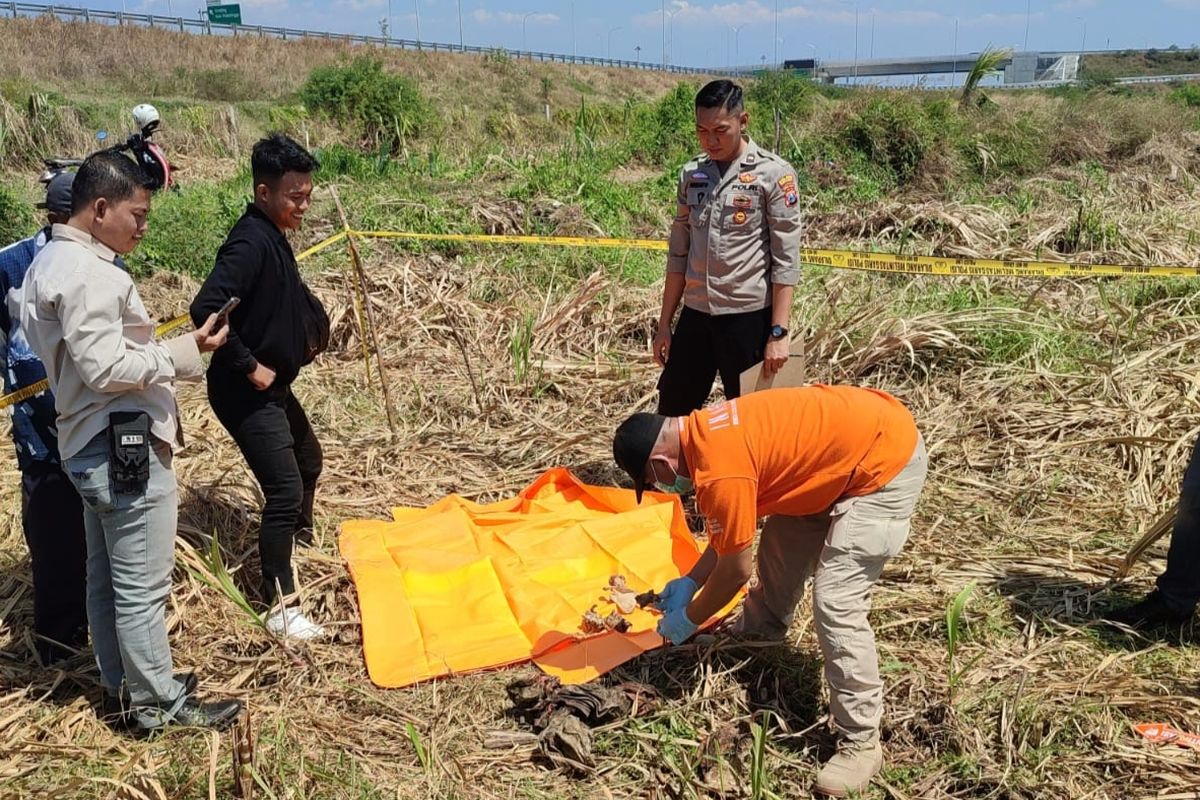 Polisi mengamankan kerangka diduga manusia di lahan tebu. 