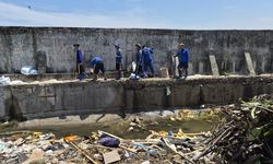 Ekologi Pesisir Terancam Beton