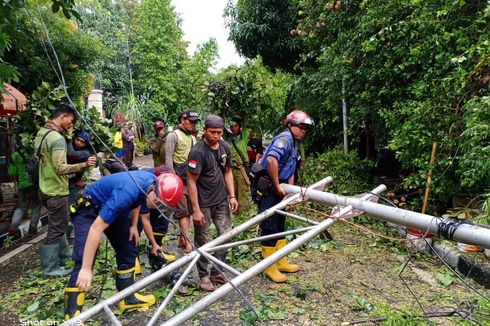 Pohon Tumbang di Menteng Setelah Hujan Deras dan Angin Kencang