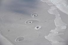 NASA Potret 3 Lubang Misterius di Samudra Arktik