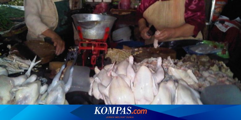  Harga  Ayam Potong  di  Bandung  Merangkak Naik