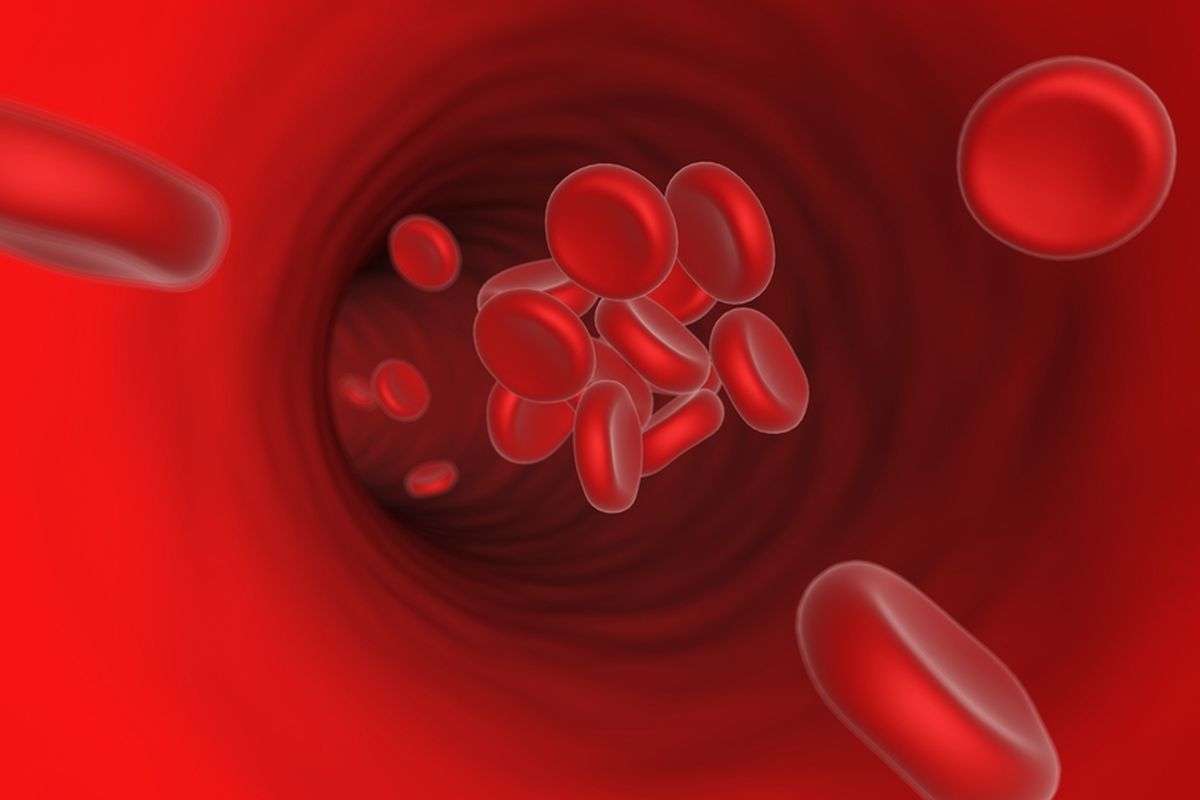 Ilustrasi trombosit atau keping darah.