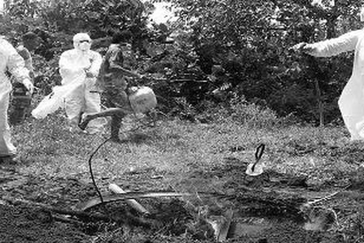 Sejumlah petugas memusnahkan ayam milik warga di Jalan Gajah Mada Dalam, Kelurahan Kampung Olo, Kecamatan Nanggalo, Kota Padang, Sumatera Barat, yang terinfeksi virus H5N1, pencetus flu burung, Rabu (9/3). Pemusnahan unggas milik warga tersebut mengalami kendala karena sebagian besar masyarakat enggan untuk merelakan ayam peliharaan mereka dimusnahkan.