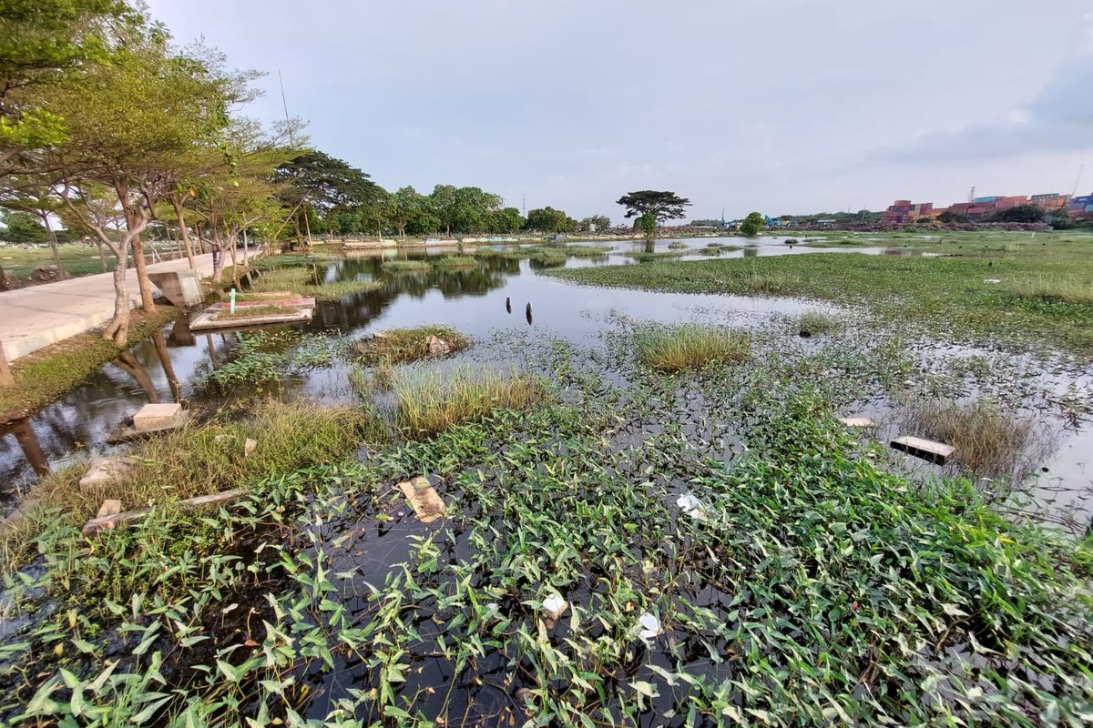 TPU Semper, Cilincing, Jakarta Utara terendam banjir pada Selasa (10/1/2023). Menurut penjaga makam, ratusan makam itu terendam air dengan ketinggian hingga 1,5 meter. 