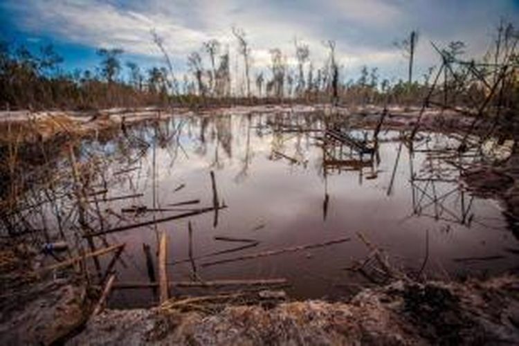 Kerusakan hutan rawa akibat tambang emas tradisional di Kereng pangi, Kalimantan Tengah, 24 Agustus 2013. Sebanyak 140 negara menandatangani traktat PBB untuk menangani polusi merkuri serta penggunaan produk metal berbahaya.