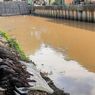 Ribuan Ikan Sapu-sapu Mati di Kali Baru Kramatjati, Dinas LH DKI Uji Sampel Air