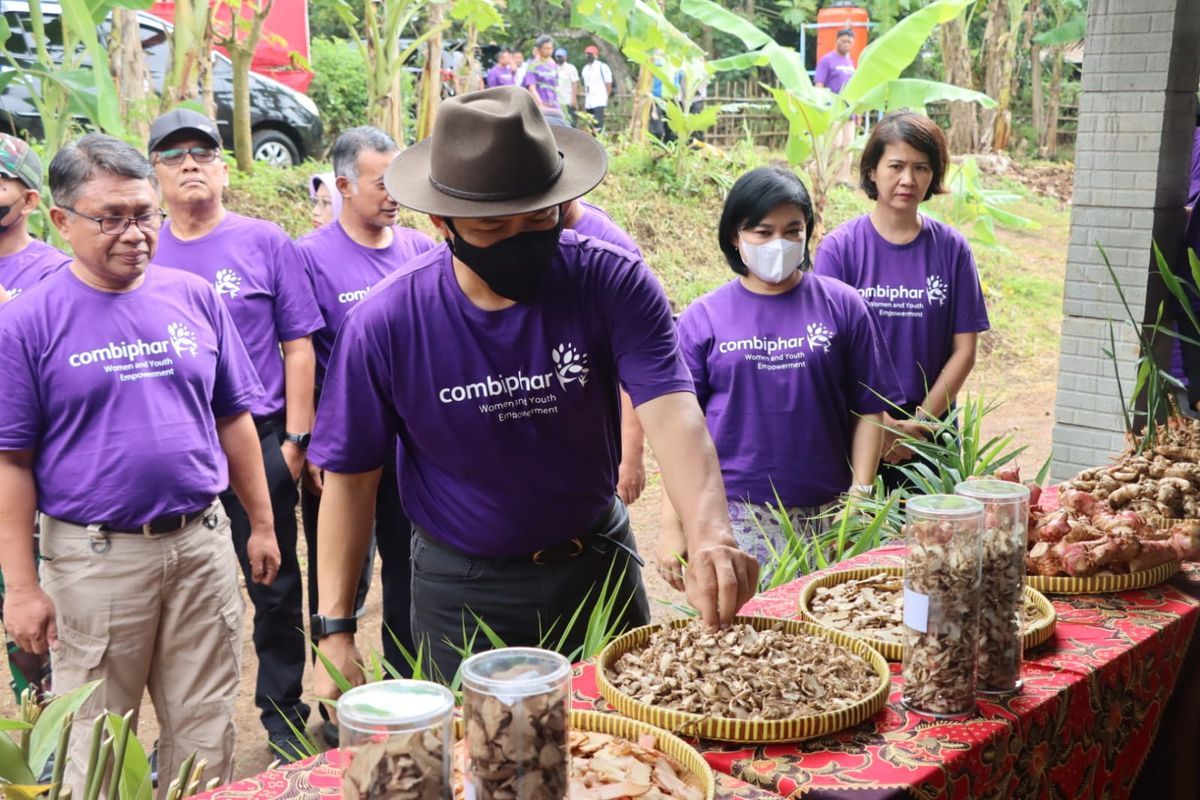 Bupati Wonogiri Joko Sutopo didampingi Ketua TP-PKK Kabupaten Wonogiri Verawati Joko Sutopo dan  Kepala Dinas Pertanian dan Pangan (Kadistan) Wonogiri Baroto Eko Pujanto mengecek produk panen jahe dan lengkuas yang ditanam kelompok wanita tani Ngadirojo Kidul di Kecamatan Ngadirojo, Kabupaten Wonogiri, Jawa Tengah, Rabu (2/11/2022).
