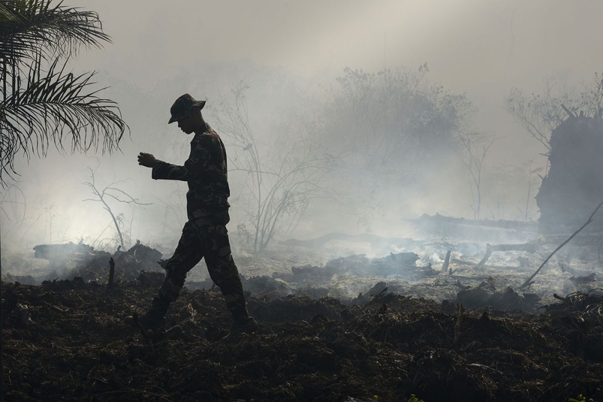 Seorang penjaga hutan memeriksa kebakaran hutan gambut di Meulaboh, Aceh, Rabu (26/7/2017).