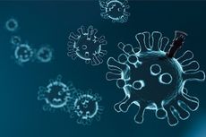 Satgas: Varian Virus Corona XE Belum Ditemukan di Indonesia