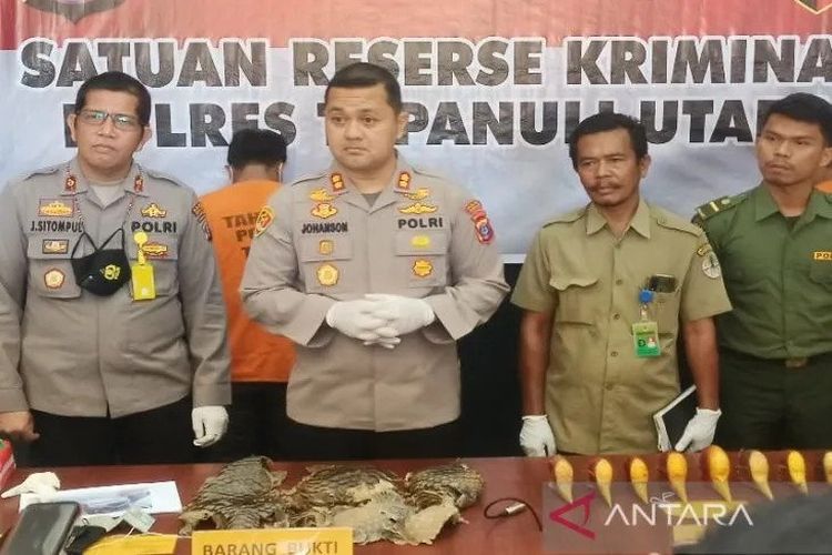 Kepala Kepolisian Resor Tapanuli Utara AKBP Johanson Sianturi (dua dari kiri), didampingi Wakapolres Kompol J Sitompul dan BBKSDA Manigor Lumbantoruan dalam keterangan persnya terkait jual beli satwa liar di Mapolres Tapanuli Utara, Selasa (9/8/2022). 