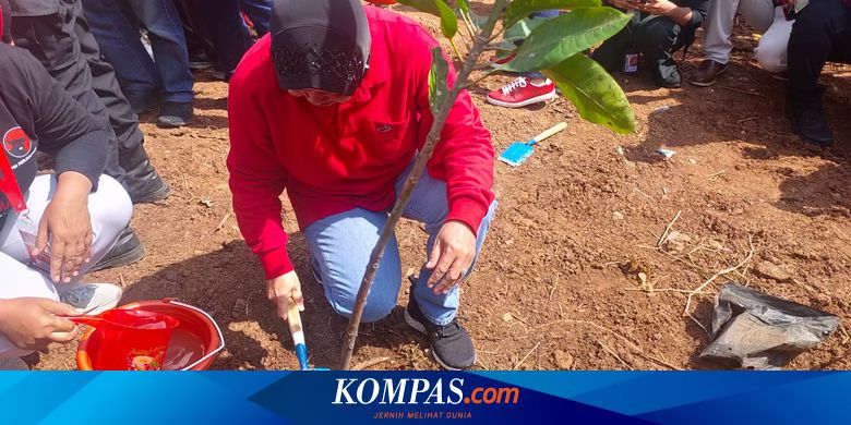 Ibu Megawati Cuma Bilang Rawat Rakyatmu