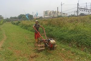 Kisah Jahri Menyambung Hidup di Bantaran Ciliwung, Bertani di Tanah Bukan Miliknya