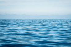 Oksigen dalam Air Bumi Berkurang dengan Cepat, Ini Penyebabnya