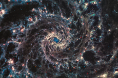 Teleskop James Webb Bidik Galaksi Phantom, Seperti Apa?