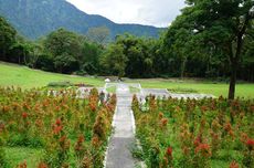 Kebun Raya Eka Karya Bali: Daya Tarik, Harga Tiket, dan Jam Buka 