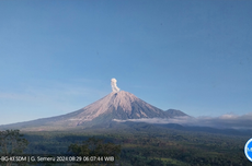 Kamis Pagi, Gunung Semeru Alami 8 Kali Erupsi