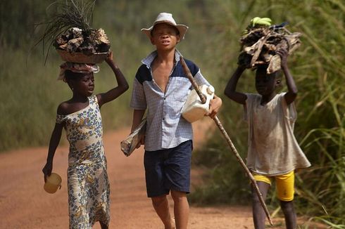 Kisah Getir Pekerja Anak di Pertanian Kakao, Ada yang Berusia 5 Tahun