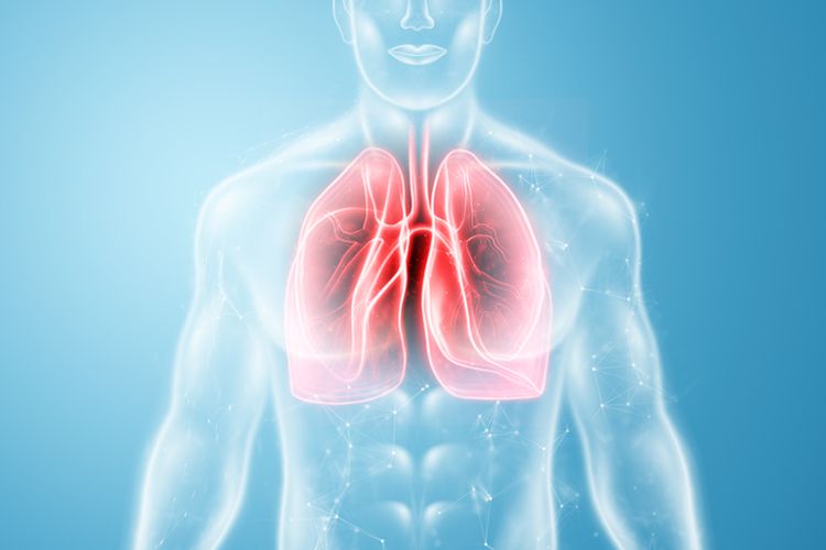 Ilustrasi radang paru-paru, cara mengobati radang paru-paru, penyebab radang paru-paru