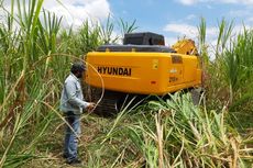 Perubahan Fungsi Kawasan Hutan Wajib Memiliki Kesesuaian Kegiatan Pemanfaatan Ruang