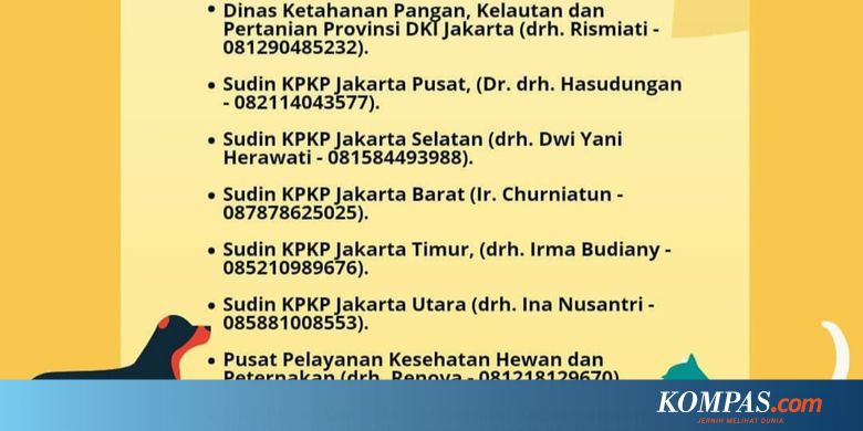 Pemprov DKI Buka Layanan Evakuasi dan Shelter untuk Hewan Peliharaan Terdampak Banjir