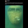 Viral, Foto Malaysia Airlines MH370 Ditemukan di Bawah Laut, Ini Faktanya