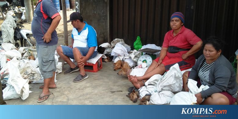 Perjalanan Daging Anjing Di Medan Dari Pasar Hingga Piring Makan