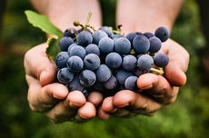 Studi: Anggur Dapat Turunkan Risiko Penyakit Jantung