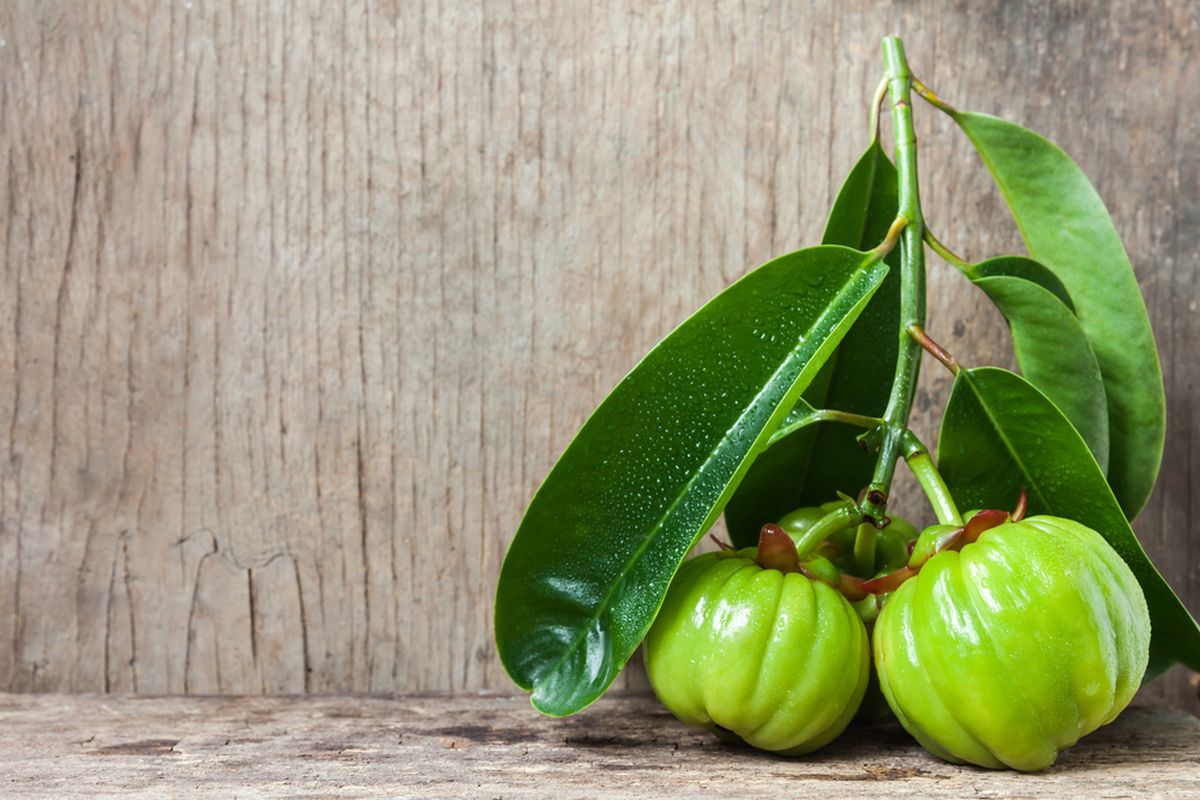 Asam gelugur (Garcinia cambogia)