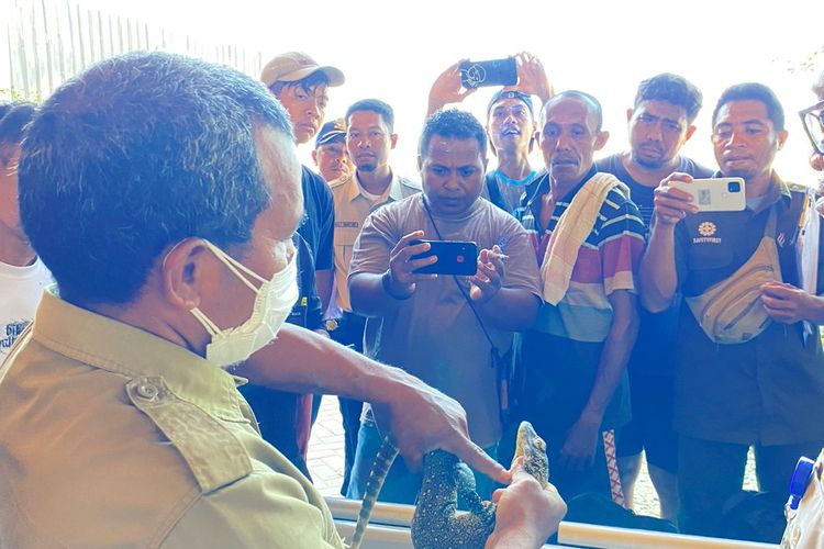 Foto: Tim gabungan di Pelabuhan Penyebrangan ASDP Labuan Bajo, Kabupaten Manggarai Barat, NTT, berhasil menggagalkan upaya penyelundupan satu ekor anak komodo, pada Senin (30/10/2023). 