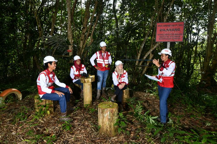 Pada 2020 dan 2021, tim peneliti MHU melakukan pengamatan intensif di Arboretum Busang.
