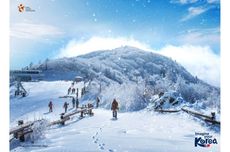 Ingin Berlibur ke Korea pada Musim Dingin dan Semi? Ini Rekomendasi Tempat serta Festival yang Bisa Dikunjungi