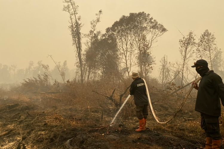 Aksi Cepat Brimob dan Warga Jinakkan Kebakaran Lahan di Maba, Halmahera Timur