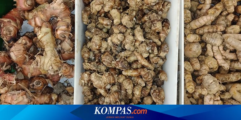 Cara Membuat dan Menyimpan Minuman Empon-empon Halaman all - Kompas.com