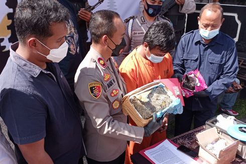 Sekuriti di Bali Racik Ganja Campur Cokelat, Hasilnya Hendak Dikirim ke Lapas di Palembang