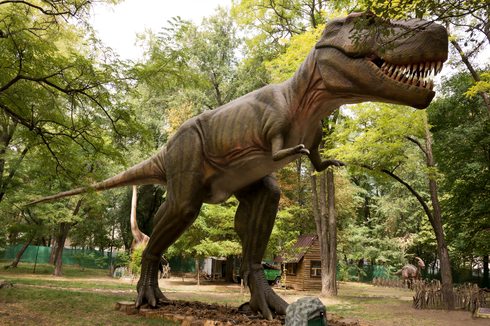 Dinosaurus: Ciri-ciri dan Macamnya