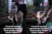 Viral, Video Ikan Dipotong Malah Memercikkan Api, Ini Kata Peneliti BRIN