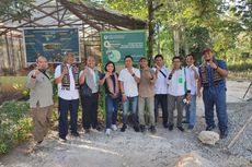 Fasilitas Pemeliharaan Kura-kura Leher Ular Rote di Kota Kupang Diperluas, Ini Tujuannya