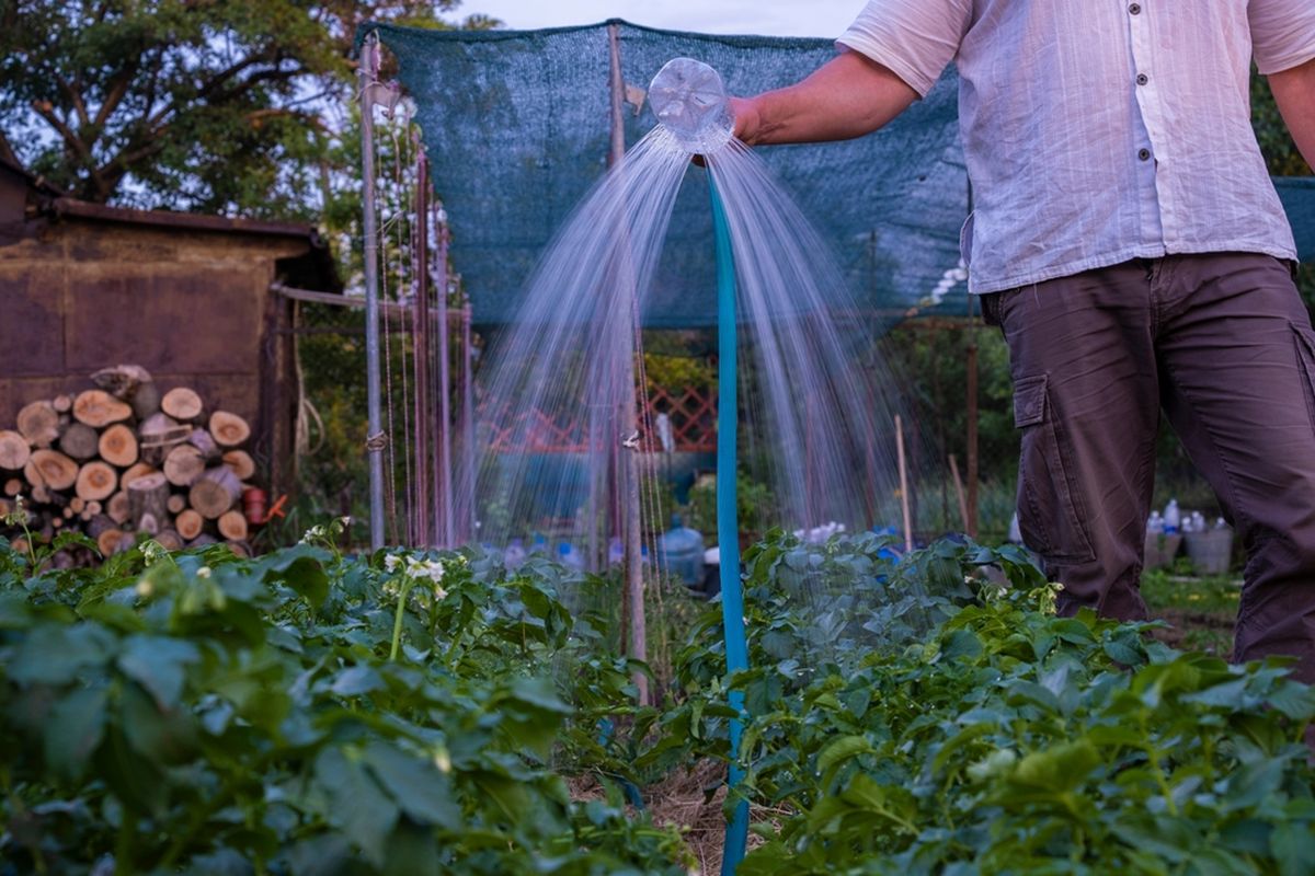 Sprinkler dari bekas botol plastik