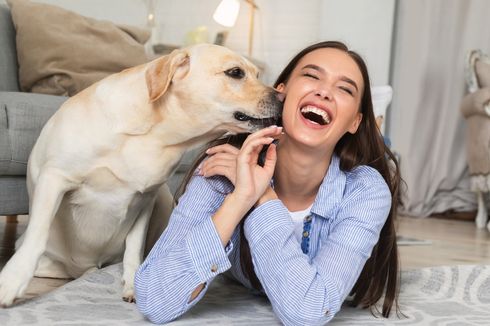 Anjing Senang Menjilati Tubuh Kita, Kenapa Ya?