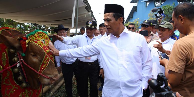 Menteri Pertanian (Mentan) Andi Amran Sulaiman memegang salah satu sapi yang dipamerkan dalam Kontes Ternak dan Panen Pedet terbesar di Indonesia tahun 2018, di Pasar Induk Puspa Agro, Sidoarjo pada Minggu (28/10/2018)